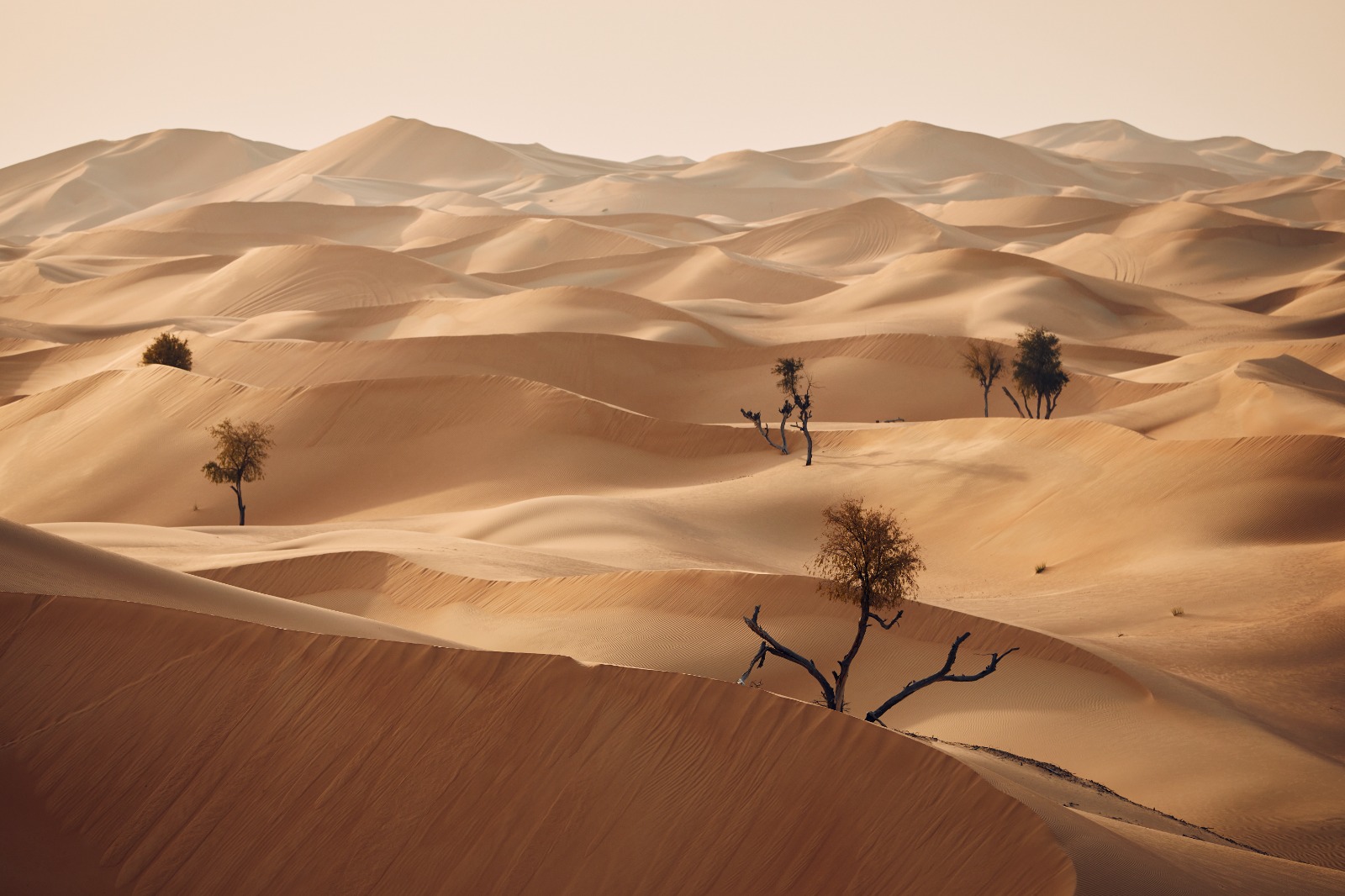 Into the dunes — reaching the unreached